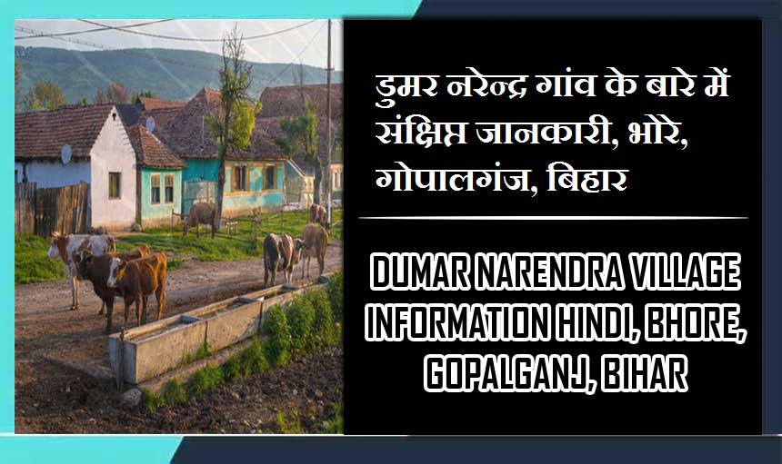 डूमर नरेन्द्र गांव के बारे में संक्षिप्त जानकारी, भोरे, गोपालगंज | Dumar Narendra Village information Hindi, Bhorey, Gopalganj