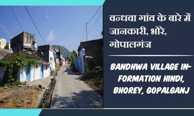 वनतरिया गांव के बारे में जानकारी, भोरे, गोपालगंज | Vanataria Village Information Hindi, Bhorey, Gopalganj