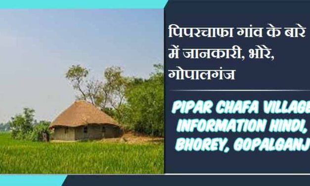 पिपरचाफा गांव के बारे में जानकारी, भोरे, गोपालगंज | Pipar Chafa Village Information Hindi, Bhorey, Gopalganj