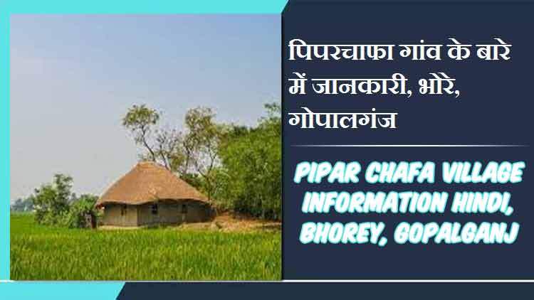 पिपरचाफा गांव के बारे में जानकारी, भोरे, गोपालगंज | Pipar Chafa Village Information Hindi, Bhorey, Gopalganj