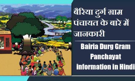 बैरिया दुर्ग ग्राम पंचायत के बारे में जानकारी । Bairia Durg Gram Panchayat information in Hindi