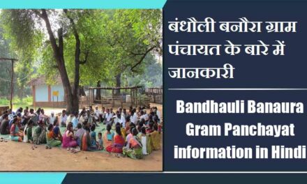 Bandhauli Banaura Gram Panchayat information in Hindi | बंधौली बनौरा ग्राम पंचायत के बारे में जानकारी
