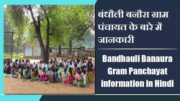 Bandhauli Banaura Gram Panchayat information in Hindi | बंधौली बनौरा ग्राम पंचायत के बारे में जानकारी