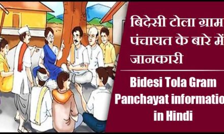 बिदेसी टोला ग्राम पंचायत के बारे में जानकारी | Bidesi Tola Gram Panchayat information in Hindi