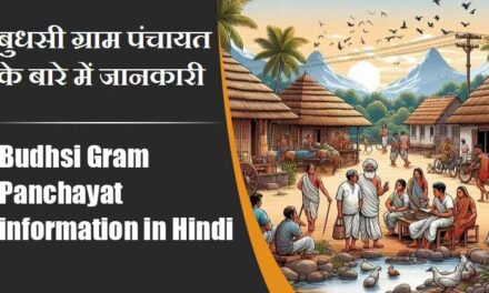 बुधसी ग्राम पंचायत के बारे में जानकारी । Budhsi Gram Panchayat information in Hindi