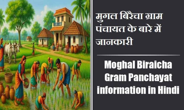 मुगल बिरैचा ग्राम पंचायत के बारे में जानकारी | Moghal Biraicha Gram Panchayat information in Hindi