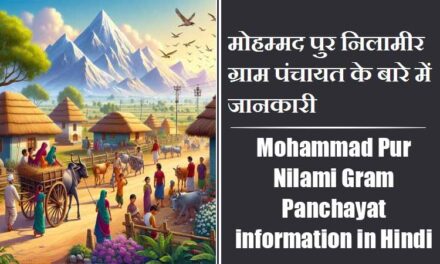 मोहम्मद पुर निलामीर ग्राम पंचायत के बारे में जानकारी | Mohammad Pur Nilami Gram Panchayat information in Hindi