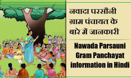 नवादा परसौनी ग्राम पंचायत के बारे में जानकारी । Nawada Parsauni Gram Panchayat information in Hindi