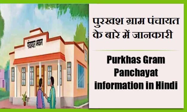 पुरखश ग्राम पंचायत के बारे में जानकारी | Purkhas Gram Panchayat information in Hindi