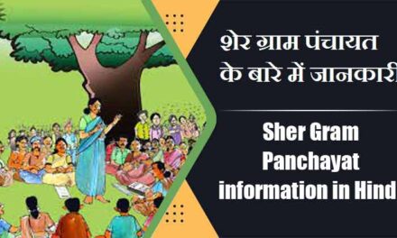 शेर ग्राम पंचायत के बारे में जानकारी । Sher Gram Panchayat information in Hindi