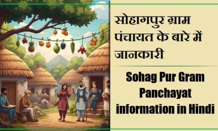 सोहागपुर ग्राम पंचायत के बारे में जानकारी । Sohag Pur Gram Panchayat information in Hindi