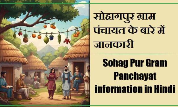 सोहागपुर ग्राम पंचायत के बारे में जानकारी । Sohag Pur Gram Panchayat information in Hindi