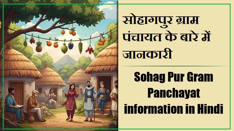 सोहागपुर ग्राम पंचायत के बारे में जानकारी । Sohag Pur Gram Panchayat information in Hindi