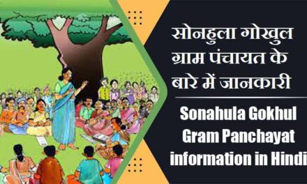 सोनहुला गोखुल ग्राम पंचायत के बारे में जानकारी | Sonahula Gokhul Gram Panchayat information in Hindi