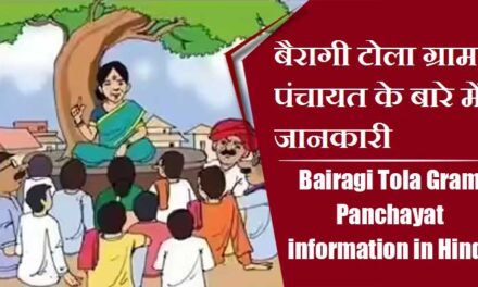 बैरागी टोला ग्राम पंचायत के बारे में जानकारी । Bairagi Tola Gram Panchayat information in Hindi