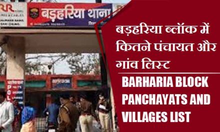 बड़हरिया ब्लॉक में कितने पंचायत और गांव लिस्ट | Barharia Block Panchayats and villages List