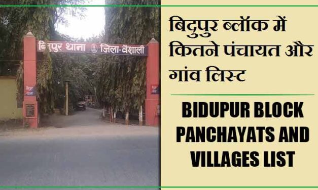 बिदुपुर ब्लॉक में कितने पंचायत और गांव लिस्ट | Bidupur Block Panchayats and villages List