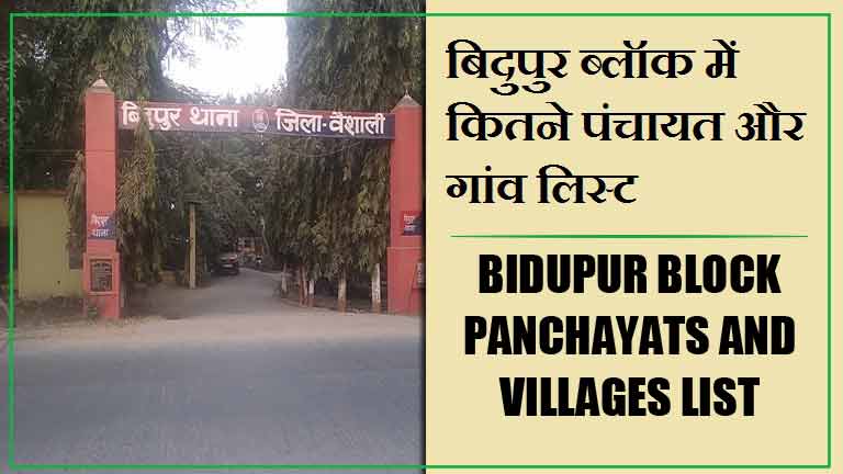 बिदुपुर ब्लॉक में कितने पंचायत और गांव लिस्ट | Bidupur Block Panchayats and villages List