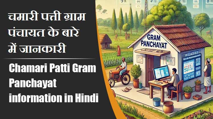 चमारी पत्ती ग्राम पंचायत के बारे में जानकारी । Chamari Patti Gram Panchayat information in Hindi