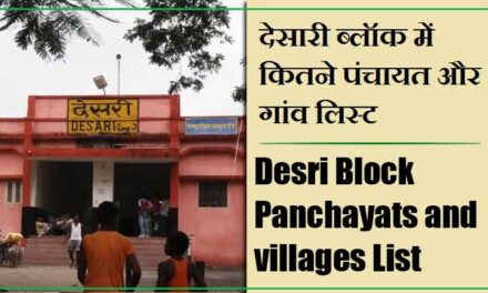 देसारी ब्लॉक में कितने पंचायत और गांव लिस्ट | Desri Block Panchayats and villages List