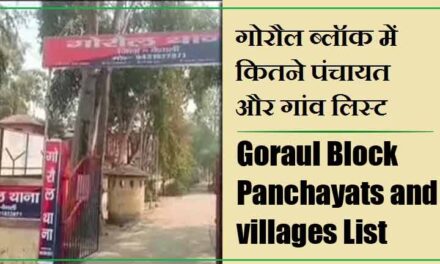 गोरौल ब्लॉक में कितने पंचायत और गांव लिस्ट | Goraul Block Panchayats and villages List