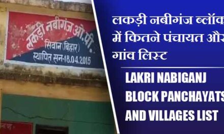 लकड़ी नबीगंज ब्लॉक में कितने पंचायत और गांव लिस्ट | Lakri Nabiganj Block Panchayats and villages List