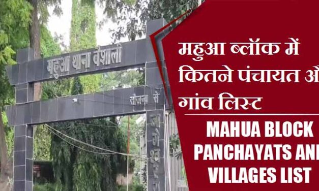 महुआ ब्लॉक में कितने पंचायत और गांव लिस्ट | Mahua Block Panchayats and villages List