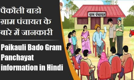 पैकौली बाडो ग्राम पंचायत के बारे में जानकारी । Paikauli Bado Gram Panchayat information in Hindi