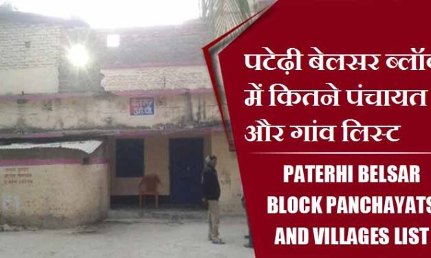 पटेढ़ी बेलसर ब्लॉक में कितने पंचायत और गांव लिस्ट | Paterhi Belsar Block Panchayats and villages List