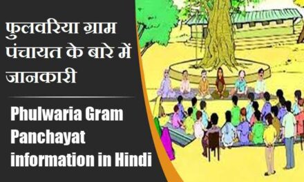 फुलवरिया ग्राम पंचायत के बारे में जानकारी । Phulwaria Gram Panchayat information in Hindi