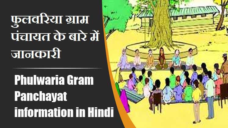 फुलवरिया ग्राम पंचायत के बारे में जानकारी । Phulwaria Gram Panchayat information in Hindi