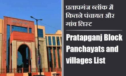 प्रतापगंज ब्लॉक में कितने पंचायत और गांव लिस्ट | Pratapganj Block Panchayats and villages List