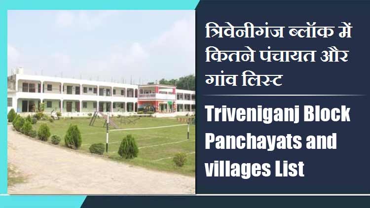 त्रिवेनीगंज ब्लॉक में कितने पंचायत और गांव लिस्ट | Triveniganj Block Panchayats and villages List