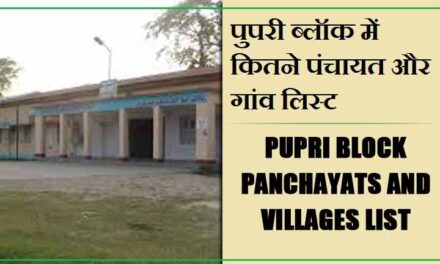 पुपरी ब्लॉक में कितने पंचायत और गांव लिस्ट | Pupri Block Panchayats and Villages List
