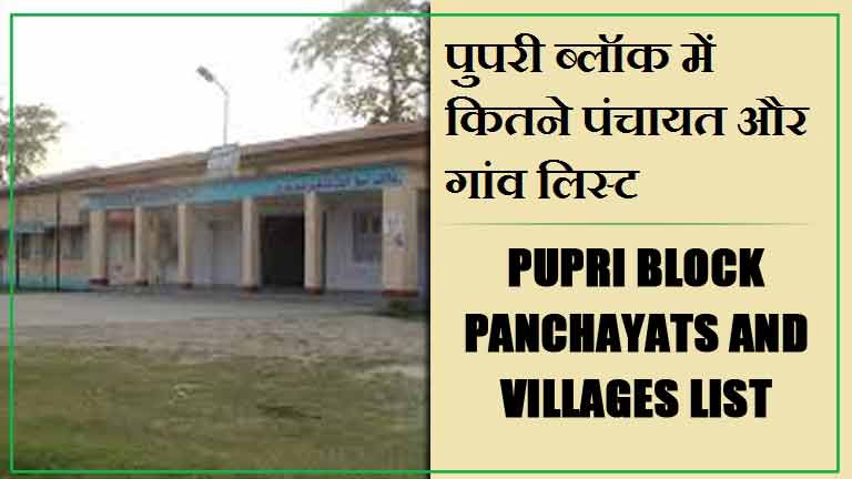 पुपरी ब्लॉक में कितने पंचायत और गांव लिस्ट | Pupri Block Panchayats and Villages List