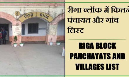 रीगा ब्लॉक में कितने पंचायत और गांव लिस्ट | Riga Block Panchayats and Villages List