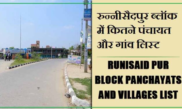 रुन्नीसैदपुर ब्लॉक में कितने पंचायत और गांव लिस्ट | Runisaid pur Block Panchayats and Villages List