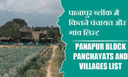 पानापुर ब्लॉक में कितने पंचायत और गांव लिस्ट | Panapur Block Panchayats and Villages List
