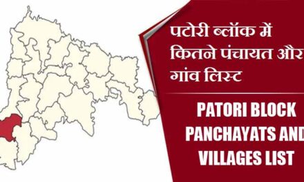 पटोरी ब्लॉक में कितने पंचायत और गांव लिस्ट | Patori Block Panchayats and Villages List