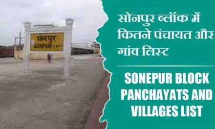सोनपुर ब्लॉक में कितने पंचायत और गांव लिस्ट | Sonepur Block Panchayats and Villages List