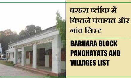 बरहरा ब्लॉक में कितने पंचायत और गांव लिस्ट | Barhara Block Panchayats and Villages List