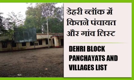 डेहरी ब्लॉक में कितने पंचायत और गांव लिस्ट | Dehri Block Panchayats and Villages List