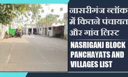 नासरीगंज ब्लॉक में कितने पंचायत और गांव लिस्ट | Nasriganj Block Panchayats and Villages List