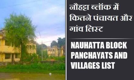 नौहट्टा ब्लॉक में कितने पंचायत और गांव लिस्ट | Nauhatta Block Panchayats and Villages List
