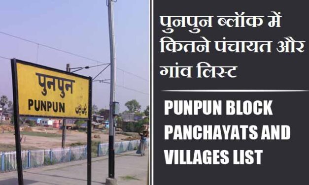 पुनपुन ब्लॉक में कितने पंचायत और गांव लिस्ट | Punpun Block Panchayats and Villages List