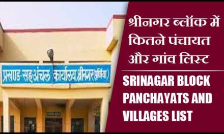 श्रीनगर ब्लॉक में कितने पंचायत और गांव लिस्ट | Srinagar Block Panchayats and Villages List