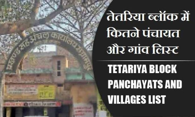 तेतरिया ब्लॉक में कितने पंचायत और गांव लिस्ट | Tetariya Block Panchayats and Villages List