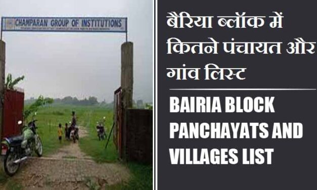 बैरिया ब्लॉक में कितने पंचायत और गांव लिस्ट | Bairia Block Panchayats and Villages List