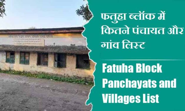 फतुहा ब्लॉक में कितने पंचायत और गांव लिस्ट | Fatuha Block Panchayats and Villages List
