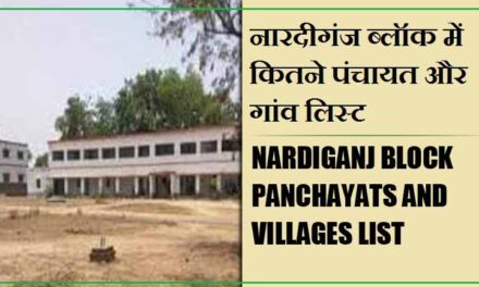 नारदीगंज ब्लॉक में कितने पंचायत और गांव लिस्ट | Nardiganj Block Panchayats and Villages List